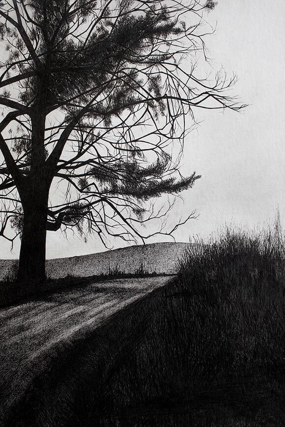 three-trees-in-winter-close
