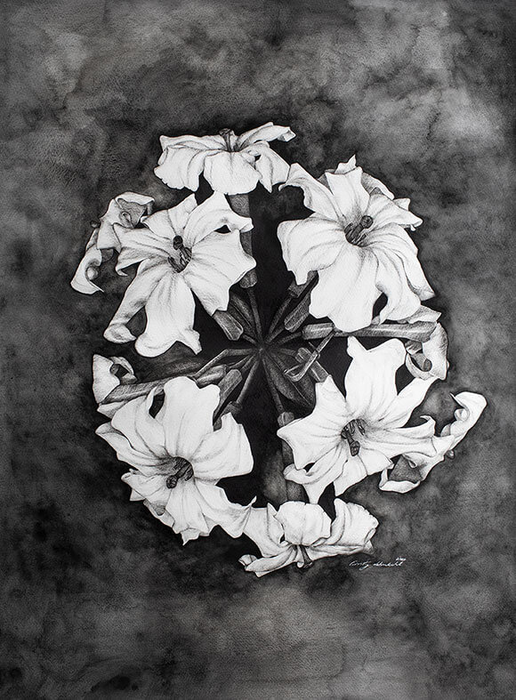 white-flowers-in-circle
