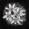 white-flowers-on-black
