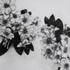 white-flowers-on-white