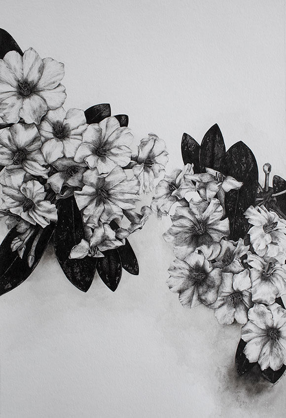 white-flowers-on-white