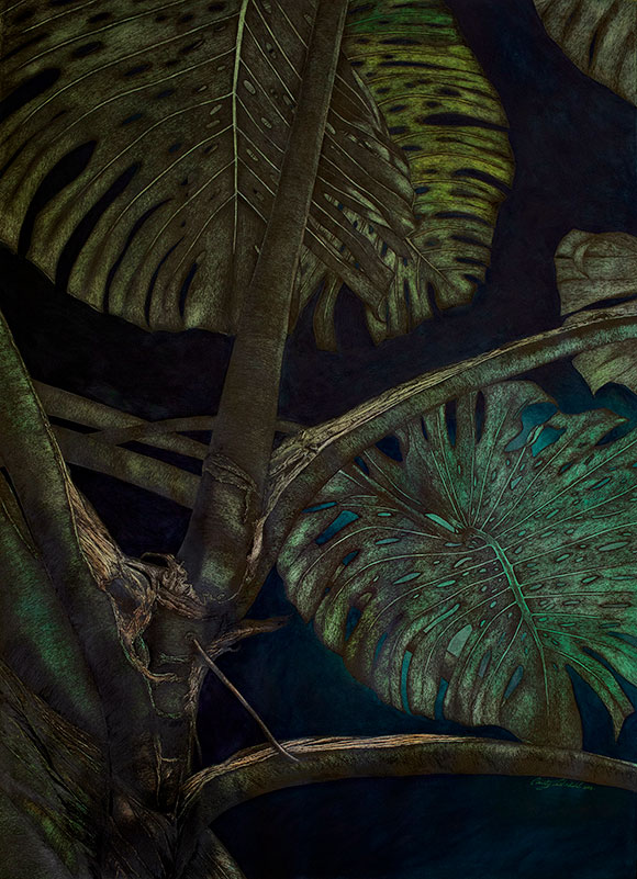 birds-at-night