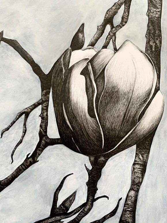 monochramatic-magnolias